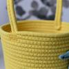 Handheld Party Favor and Gift Basket