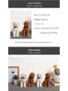 Teddy Dog Desktop Ornament: Creative Indoor Decoration and Cute Gift
