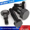 Black M5/M6 Hex Socket Head Cap Screw with Equal Height Shoulder
