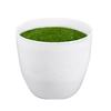 Ghiveci Rotund din Plastic cu Simulare de Flori, Ghiveci pentru Plante Suculente, Decor pentru Casă, Birou
