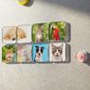 Fridge Magnet Set Kitchen Decor Accessories 10-Pieces Sticky Magnets For Refrigerator Whiteboard Office Apartment Pantry Hotel