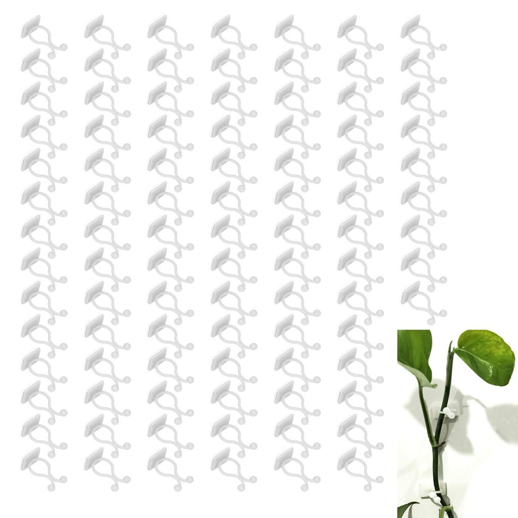 100PCS Plant Climbing Wall Fixture Wall Vines Fixing Clip Self Adhesive Branch Fixture Securing Clip