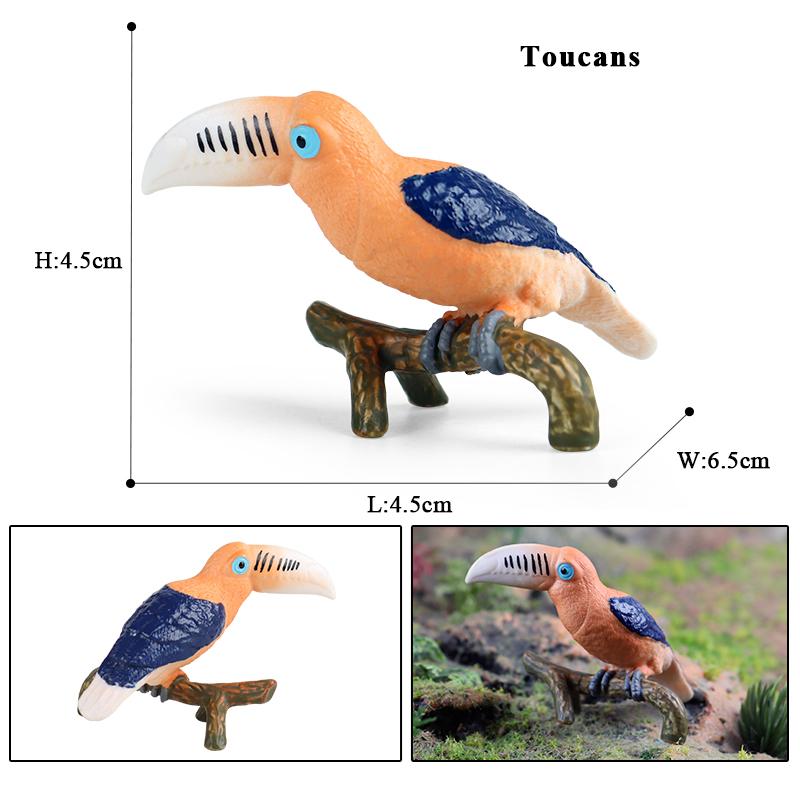Oenux Garden Bird Figurines Snowy Owl Toucan Bucerotidae Animals Model PVC Action Figures Collection Toys For Kids Birthday Gift