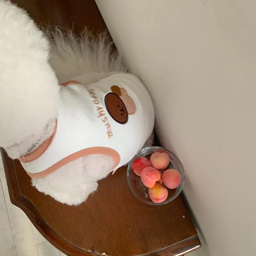 Cute Fruit Puppy Vest Pet Summer Embroidered Clothes Teddy Schnauzer Sleeveless T-Shirt Breathable Pullover Fashion Dog Clothes