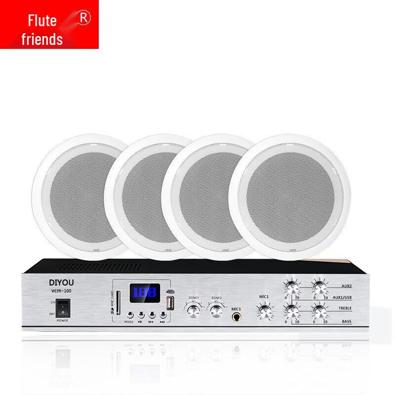 Diyou Ceiling Speaker Public Broadcasting System