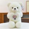 Love Variety Bear Plush Toy Wedding Gift Confession Teddy Bear Ring Doll