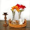 6PCS Transparent Mini Glass Vase Vintage Flower Holder Minimalist Clear Flower Vases  Wedding Decor