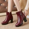 Genuine Leather Winter Women Boots Warm High Heels Ankle Boots Women Thick Wool Warm Snow Boots Woman 2025 Elegant High Heels