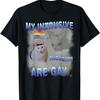 My Intrusive Thoughts Are Gay Funny Cat Meme Humor Joke T-Shirt for Men Women