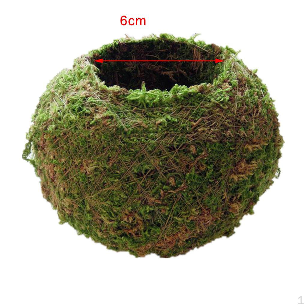 Мяч, , Различный размер 6cm