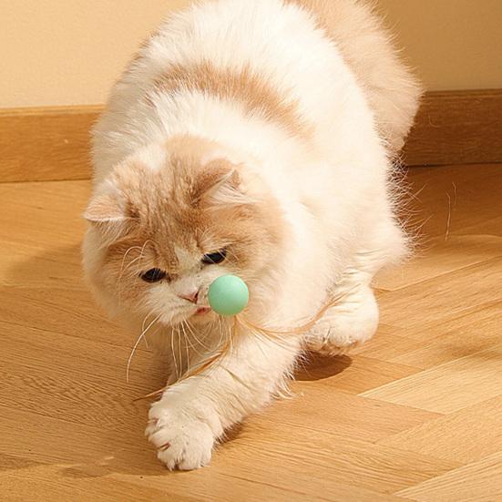 Cat Bouncy Ball Toy Silicone Ball Cat Chew Toy with Feathers Interactive Quiet Rolling Ball for Indoor Cats Biting Chewing Chasing