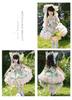 Girls' Wizard of Oz Lolita Princess Dress - 26 New Summer Styles, Puffy Forest Gown for Birthdays