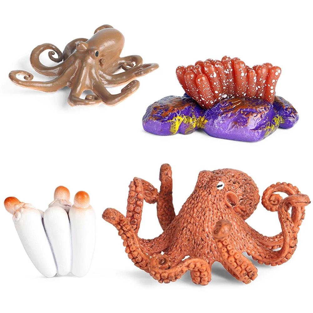 

Educational Toys Animals Figurines Children Realistic Life Cycle Salmon Octopus Growth Cycle Model 3
