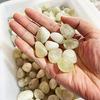Natural Polished Gemstones for Children's Fish Tank & Landscaping Décor