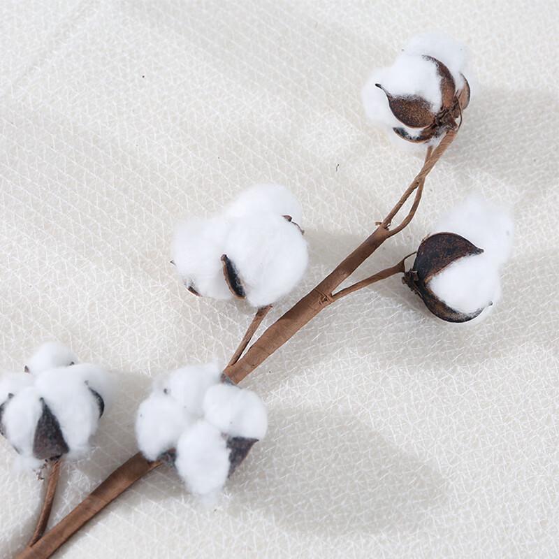 Dreipoliger Baumwoll-Bettdeckenbezug