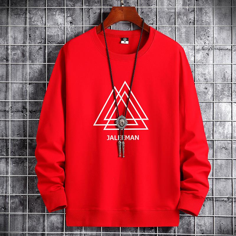 "2025 Youth Men's Loose-Fit Terry Sweatshirt: Long Sleeve, Round Neck, Fall/Spring Trend"