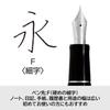 PILOT Custom Heritage 91 Fountain Fine Nib 14K Gold Pen, (F), Black, FKVHN12SRBF, Nib.