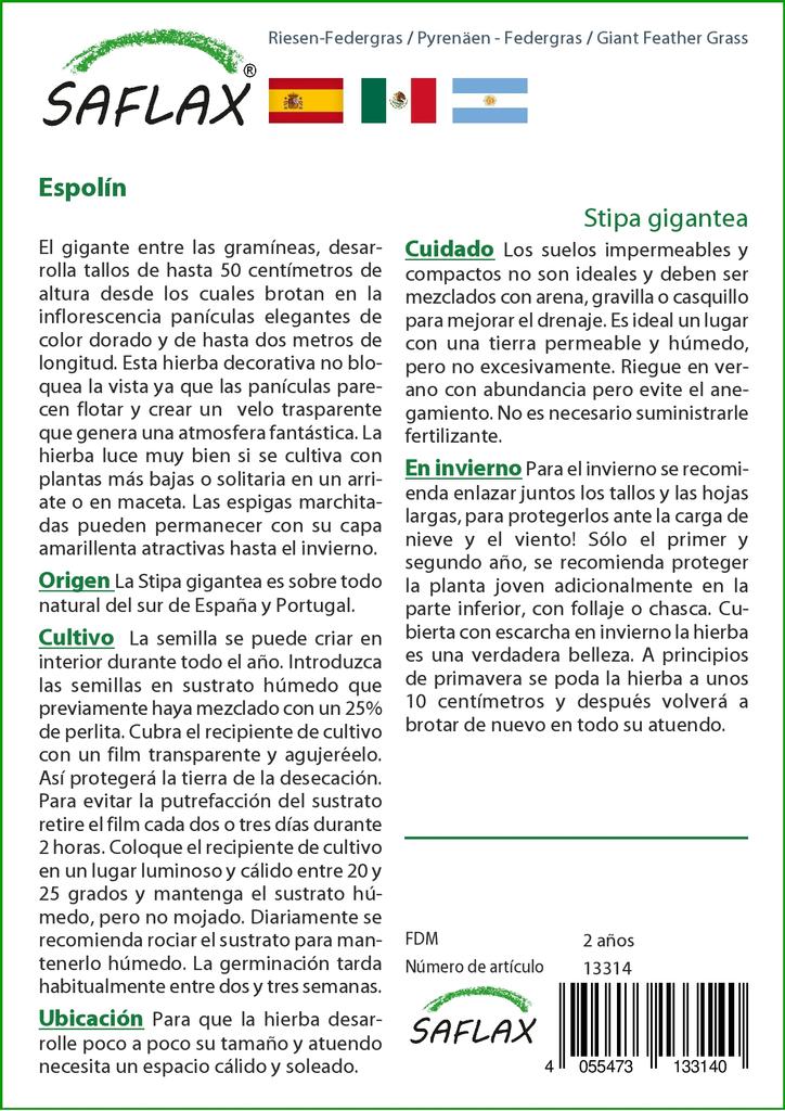 SAFLAX Zahrada v pytli - Obří péřová tráva - 10 semen - Se substrátem v padnoucím sáčku - Stipa gigantea