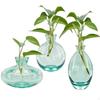 3x Glass Vase Small Pots Planter Pot Transparent Green Display Bud Growing Vases for Adult