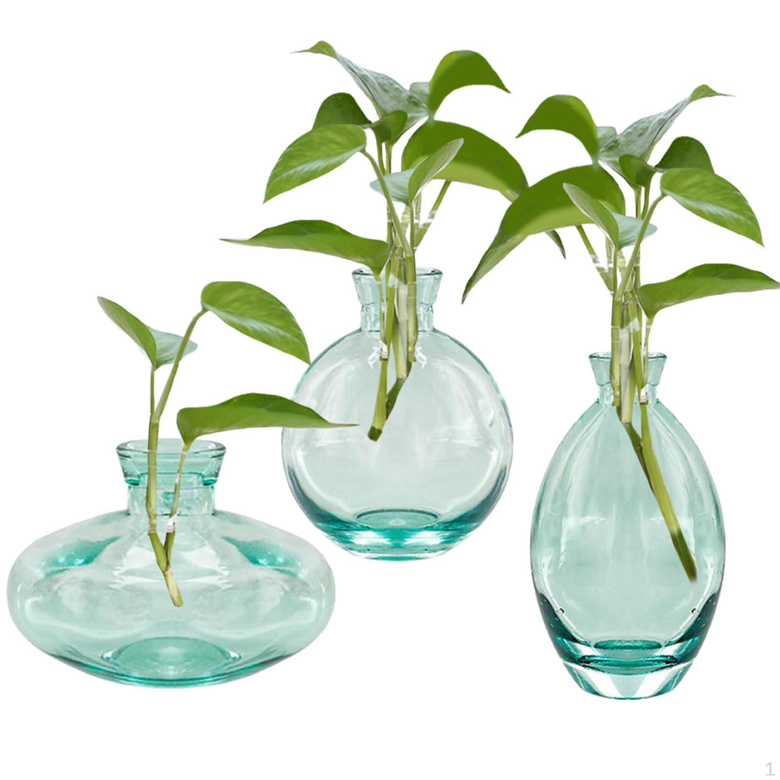 

3x Glass Vase Small Pots Planter Pot Transparent Green Display Bud Growing Vases for Adult