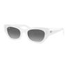 Ray-Ban Logo Plastic Irregular Shape Sunglasses Unisex Sunglasses White RB4430675911