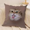 Cute Naughty Cats Dogs Cushion Cover Soft Plush DoubleSided Printed Sofa Pillow Cushion Cover  AllSeason Durable Decor Gift