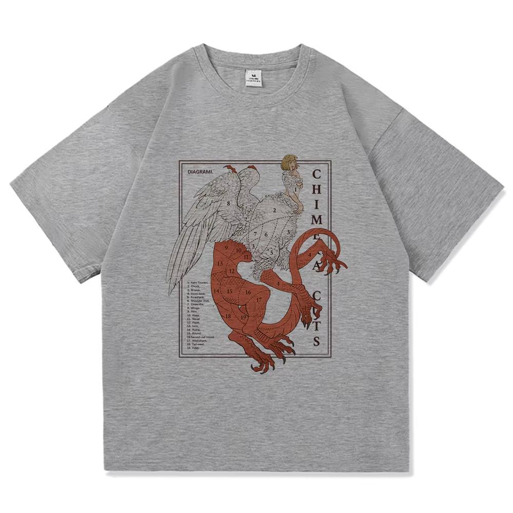 Vintage Lavé Délicieux dans le Donjon Donjon Meshi Laios Touden Falin Anime Imprimé T-shirt en Coton Hommes Femmes Tee Été Décontracté Mode Vêtements Hauts