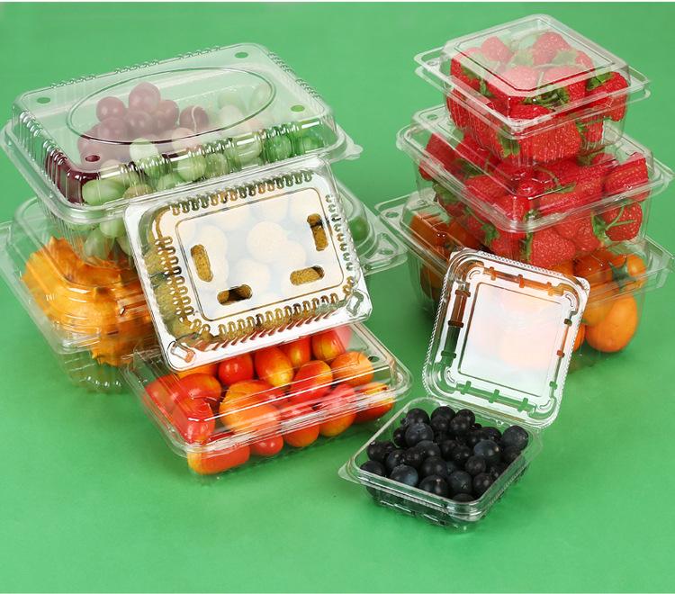 Clear Plastic Fruit & Veggie Box with Lid - Disposable and Thickened for Fresh Storage