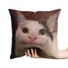 Aertemisi 18'' X 18'' Beluga Cat Funny Meme Square Throw Pillow Cushion Covers Cases Pillowcases 45Cm X 45Cm
