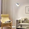 oeny Floor Lamp with Remote Control