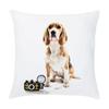 45X45Cm Dog Peach Skin Hug Pillowcase Custom Bedroom Car Sofa Cushion Pillowcase Cushion Cover