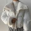 Double-sided Lamb Wool Cotton-padded Jacket for  Autumn and Winter Short Cotton-padded Jacket for Small People, New Cotton-padded Jacket Trendy