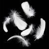 100Pcs White Feather Goose Feathers for Crafts DIY Wedding Party Halloween Decoration Goose Nagoire Feathers