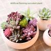 Realistic Fake Succulent Plants for Indoor & Outdoor Wall Decor