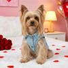 Valentine's Day Sweet Bear Pet Denim Vest, Light Blue Sleeveless Button Jacket with D-Ring for Small Dogs & Cats, Spring/Summer