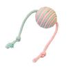 Sisal Balls for Cats Teasing Indoor Exercising Enrichment Cats Chew Toy Hunting Teething Cats Teasing Supply 6PCS