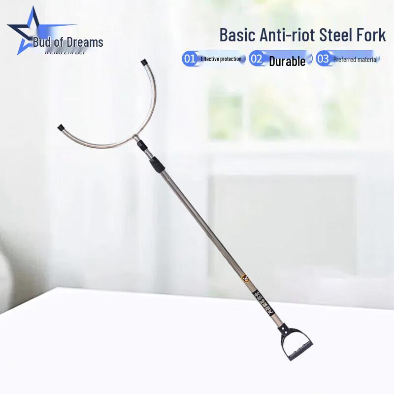 Anti-Riot Security Fork
