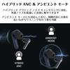 Aurvana Ace 3 True Wireless Earbuds (HS-AVACE3-BU) with LDAC, aptX Lossless, aptX Adaptive, and more