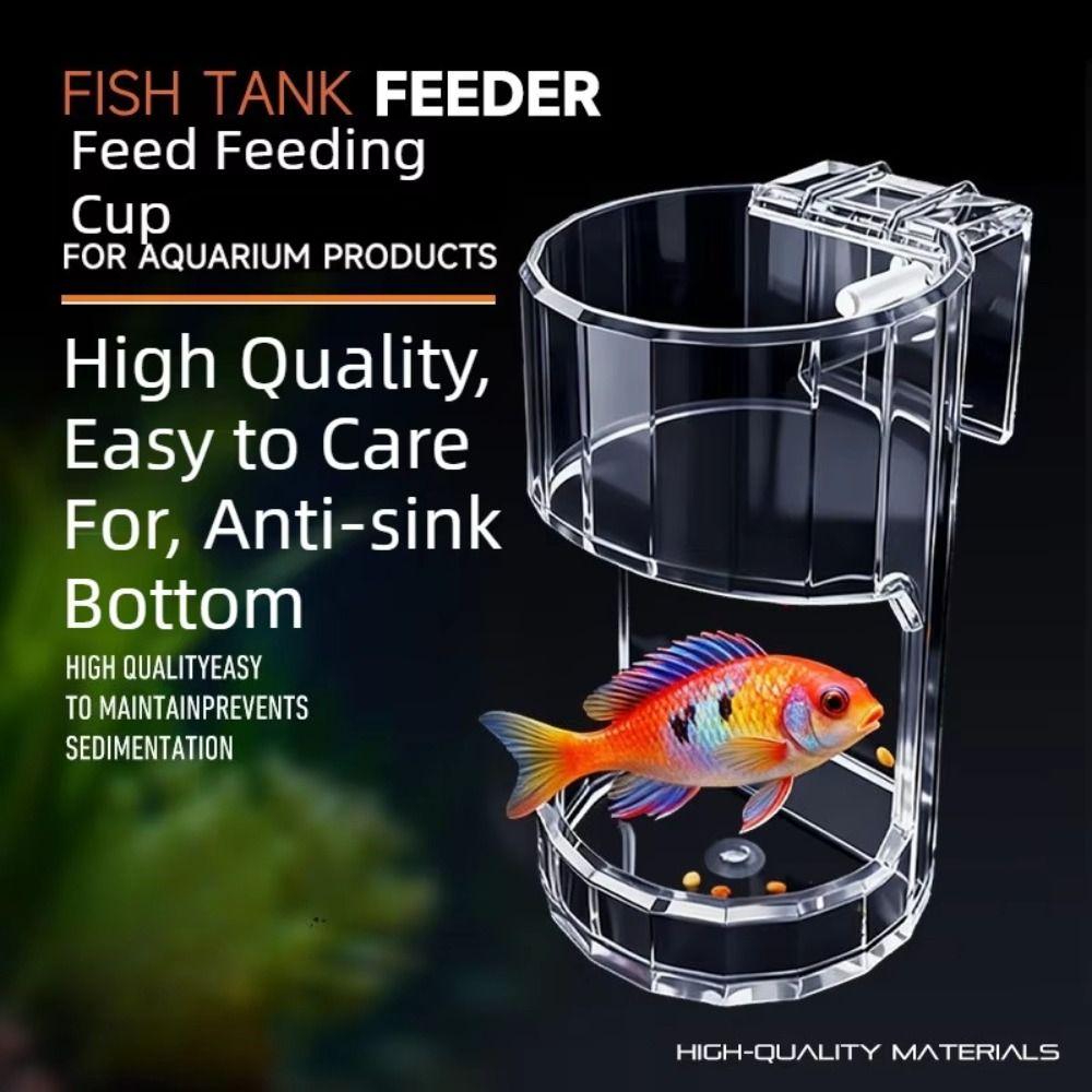 Acrylic Fish Feeder Ring Fixed-Point Wall-Mounted Aquarium Feeders Ring Transparent Fish Tank Food Dispenser