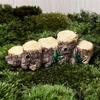 3 Pieces Moss Micro Landscaping Decor Tree Stump Bridge Fairy Garden Figurines Miniature Ornaments House Terrarium Kit Dollhouse Supplies Durable and