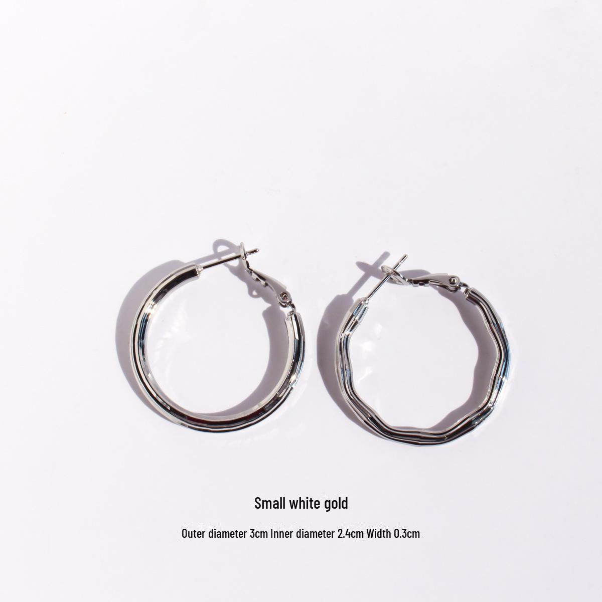 

Трендовые европейско-американские круглые серьги Brushed Line — смелые, блестящие и стильные для крутой, модной девушки