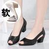 2024 Fashion Shoes for Women Slip On Women's Sandals Solid Slip On Open Toe Chunky Heels Neutral Mature Fish Mouth Sandals