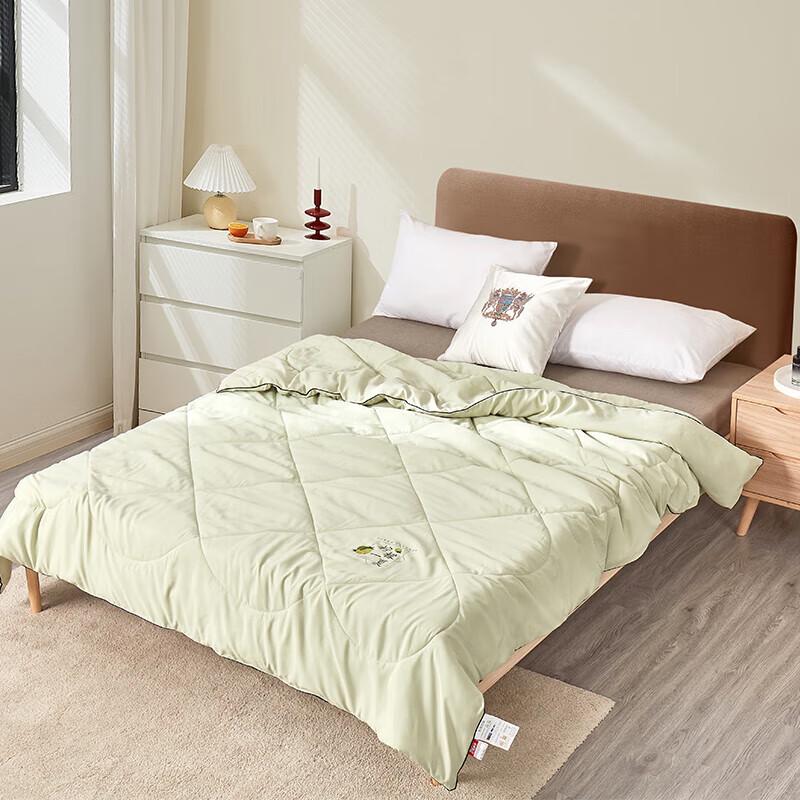 Hongdou HDB-2205 Spring Lemon Antibacterial All-Season Quilt