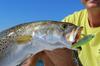 Floating 3D Inshore Minnow 90mm HHAY Ayu Sea Bass YO-ZURI (F) Lure, Weight 12g, R1212-HHAY, (AYU)