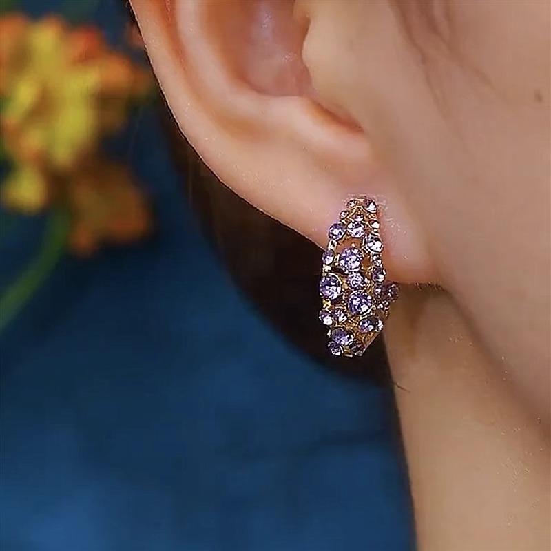 Fashionable Purple Full-diamond Minimalist Zirconia Ear Hoop High-end Ear Jewelry Accessory