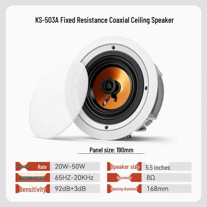 SAST 5.5-inch Coaxial Recessed Ceiling Speaker CN Plug (adapter Included)