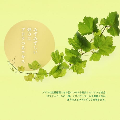 Face Mask Pack Lululun Nagano/Yamanashi Lululun (Shine Muscat scent) 1 piece x 5 bags