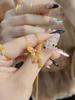 Fairy retro butterfly pendant necklace female new exquisite high-end court style butterfly opening ring