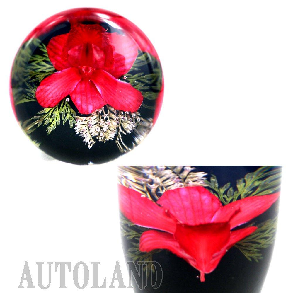 Autoland Underwater Flower Shift Knob, Red, Real Orchid, Fresh Flower Works, 3.5 inches (90