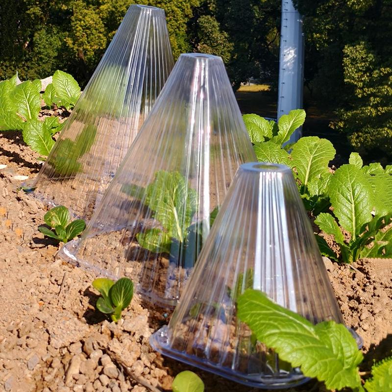 Conical Plant Seedling Protective Plastic Plant Cone Cover Reusable Nursery Seedling Planting Tent Anti-Bird Pest Snail Prevents